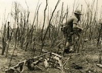 American soldier running through branches, carrying weapons. Other weapons are seen in the foreground.