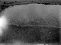 Original caption: Cicindela habitat. Saline pool near Salt Basin, Lincoln, Nebr. C. togata var. apialis and C. Circumpicta visible in picture, July 30, 1915