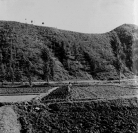 "Korea-Negs 183-1(2)-184-1(2) 12.Farm" A Korean farmer ploughing his field with a wooden plough. A hill rises behind him in the background. From scrapbook