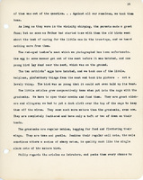 Elizabeth Van Sant transcribed letters