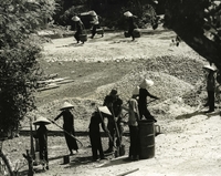 "It took almost two month to haul in the foundation material- crushed-rock and laterite - for the Tan Hy market place. The area on the south side of the Song Tra Bong (river) to date has had no market, forcing the population to travel across the river to Hon Ba. It has hoped that with their own bargaining place the fisherman and farmers in the area will find it easier and more profitable to carry on business. Up to 25 volunteer villagers work beside the 'one American' to build this community venture. Is there a language barrier? 'Who talks' says Murphy, 'We do a lot of laughing though.'" Vietnamese workers shovel and carry gravel in a building site.