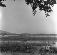 "Macau" Landscape shot.