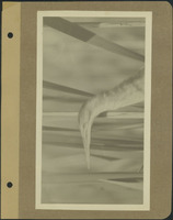 Frank Shoemaker - Omaha, Lincoln, and Nebraska Narratives