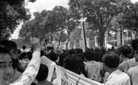 "Unidentified", Photo of a protest. A large crowd of Vietnamese people walk in a tree lined street with banners.