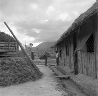 "Ashau II", grass houses
