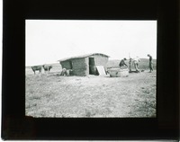 Original caption: Cherry Co. Soddy Now nearly obsolete. F.H.S. July 1911. Three men outside of small soddy, with some cattle and water basin. Cherry County. Frank H. Shoemaker (121111-00059)