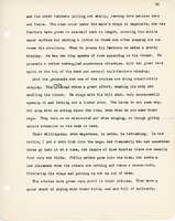 Elizabeth Van Sant transcribed letters
