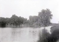 Pond 2 1/2 miles Northeast of Havelock nesting site of green heron. Lancaster County.