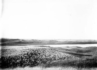 Original caption: Clear, Dewey and Whitewater Lakes, Cherry Co., Nebr. June 7, 1903. Cherry County.