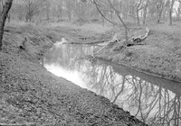 Salt Creek-Branson Woods. Lancaster County. Frank H. Shoemaker (321301-A0977)