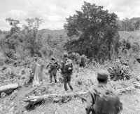"Ashau II", soldiers between trees (jungle?)
