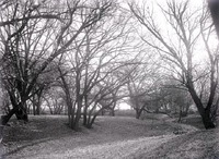 Original caption: Salt Creek, 2 miles S of Pen. South of penitentiary. Nov. 9, 1913