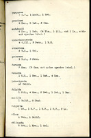Frank H. Shoemaker typescript, 31 pages, including notes and list on CICINDELIDAE in the Carnegie Museum, Pittsburgh, PN, Nebraska, and his own collection.
