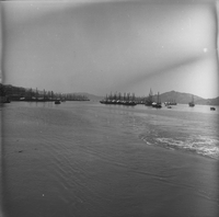 "Macau" Boats in clusters are seen out past the shore.