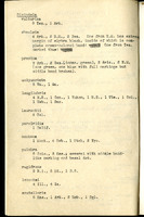 Frank H. Shoemaker typescript, 31 pages, including notes and list on CICINDELIDAE in the Carnegie Museum, Pittsburgh, PN, Nebraska, and his own collection.