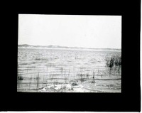 Original caption: Clear Lake, Cherry Co. July 1911 F.H.S. Cherry County. Frank H. Shoemaker (121111-00082)