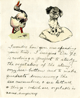 Edith Schwartz Clements handwritten letter