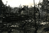 A destroyed hamlet. Surrounding the remains of the hamlet is some destroyed vegetation.