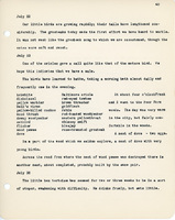 Elizabeth Van Sant transcribed letters