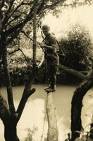 "Operation 'Francis Marion' - The going is slow for 'Ivymen' of the U.S. Army's 4th Infantry Division in the lush jungles of western Pleiku Province, as they continue their search for the enemy during Operation 'Francis Marion.' Since the operation began early in Apr., 'Ivy' Division infantrymen have killed more the 675 enemy. U.S. causalities in 'Francis Marion' have been light." An American soldier walks on a log over a stream.