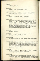 Frank H. Shoemaker typescript, 31 pages, including notes and list on CICINDELIDAE in the Carnegie Museum, Pittsburgh, PN, Nebraska, and his own collection.