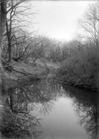 Original caption: Creek near Roca, Nebraska. Nov. 24, 1912