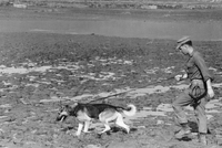 An American soldier is walking his dog on a leash through an empty field.