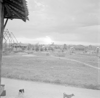 "KT Leprosy ", photo of an empty field