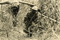 "Operation 'Junction City,' Vietnam - Bandoliered and battle-weary, a combat trooper of the 1st Battalion, 16th Infantry, 1st Infantry Division, plows through the dense jungle near Suoi Ga, as his unit maneuvers through War Zone 'C' on the U.S. Army's multi-division sweep, Operation 'Junction City.' The massive Army operation, largest of the Vietnam conflict, entering its fourth week of action." Two American soldiers walk through a jungle. One is draped with machine gun ammunition.