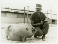 "Paunchy pet--'I started out at a very tender age.' Esmeralda tells Seabee Petty Officer Third class George A. Bradley in this personal interview at Da Nang, Vietnam." Holding a pen and notepad, Petty Officer Third Class George A. Bradley kneels in front of a fat little pig. Seabees news release 25-67 (46).