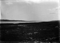 Original caption: Cherry Co., Nebr. June 1903. Cherry County.