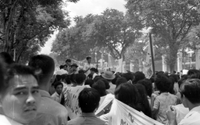 "Unidentified", Photo of a protest. A large crowd of Vietnamese people walk in a tree lined street with banners.