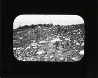 Original caption: Glacial boulders on land so. E. of Table Rock. GEC 1911. Cass County. (121111-00320)