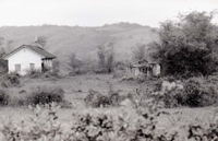 A small Christian church in a bushy rural area. The ruin of another building sits nearby.