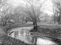 Salt Creek: Branson Woods, icebound. Nov. 13, 1920. Lancaster County. Frank H. Shoemaker (321301-A1211)