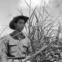 "Ashau-Laos Border", a potrait of a soldier standing in a tall grass field, holding a gun