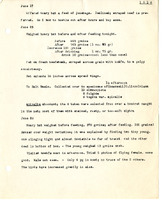 Frank H. Shoemaker typescript, 3 pages, detailing bird sightings at Salt Basin, near Lincoln, Nebraska.
