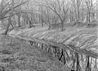 Salt Creek, Branson Woods, Lincoln. Lancaster County. Frank H. Shoemaker (321301-A1329)