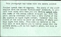 Frank H. Shoemaker, typescript, 3 pages, on snake hunting in Cliff Swallow nests, with an accompanying note and photo.