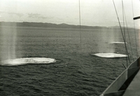 "Over 100 shells from enemy coastal batteries bracketed the U.S. Seventh Fleet heavy cruiser, USS St. Paul while on an offshore mission, along the North Vietnamese coast. The ship returned the fire with her 8-inch and destroyed one enemy gun emplacement, damaged another, and still managed to destroy her original target." Explosions in the water, with a shoreline and mountains seen in the background. The side of a boat is in the foreground.