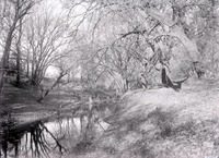 Original caption: Salt Creek SW of Pen. Southwest of penitentiary. Nov. 9, 1913