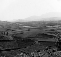 "Korea-Negs 181-3(1)-182-3(1) 2.Central Korea" A patchwork of farm plots dominates the photo. There are misty mountains in the background. From scrapbook page 23.