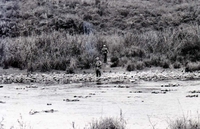 An American soldier standing near the edge of a river, as another walks away in the background.