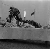 Original title: "VN Life" The photo probably shows celebrations for Tết Trung Thu. There is a large table in the foreground with small plastic bags on it (possibly containing candy or some other fetival favor). There is a lion dance being performed in tha background and a child in a mask dancing. There are children watching the dance, and some star-shaped lanterns in the far left of the frame. The photo appears to be tacken around dusk, as the streetlight in the background appears to be on. Several South Vietnamese flags fly in the background.