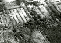 "A U.S Navy A4 Skyhawk from the Seventh Fleet carrier USS Bon Homme Richard drops a napalm bomb during operations against the Viet Cong on July 1 southeast of Saigon. Pilot of the aircraft was Ens R. W. Nielson of Sacramento, Calif." Aerial photo of a US airplane dropping a bomb over cratered rural land.