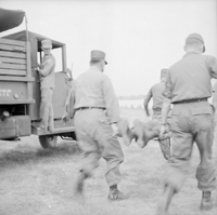"AP WIA/KIA Dead/Dying", a group of soldier carrying someone?, one is standing on a truck next to the scene