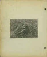 Frank Shoemaker, Narratives, Thomas County, July 3-11, July 27-30, 1911