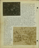 Frank Shoemaker, Narratives, Thomas County, July 3-11, July 27-30, 1911