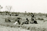 American soldiers setting up a camp in an open field.