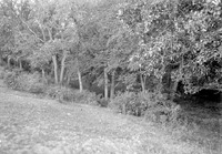 Branson Grove, Salt Creek, 7.30 pm. Sept. 22, 1918. Lancaster County. Frank H. Shoemaker (321301-A0807)